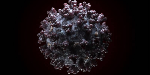 Corona Virus Covid 19 - 3D Visualization